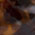 SP5001-052-55